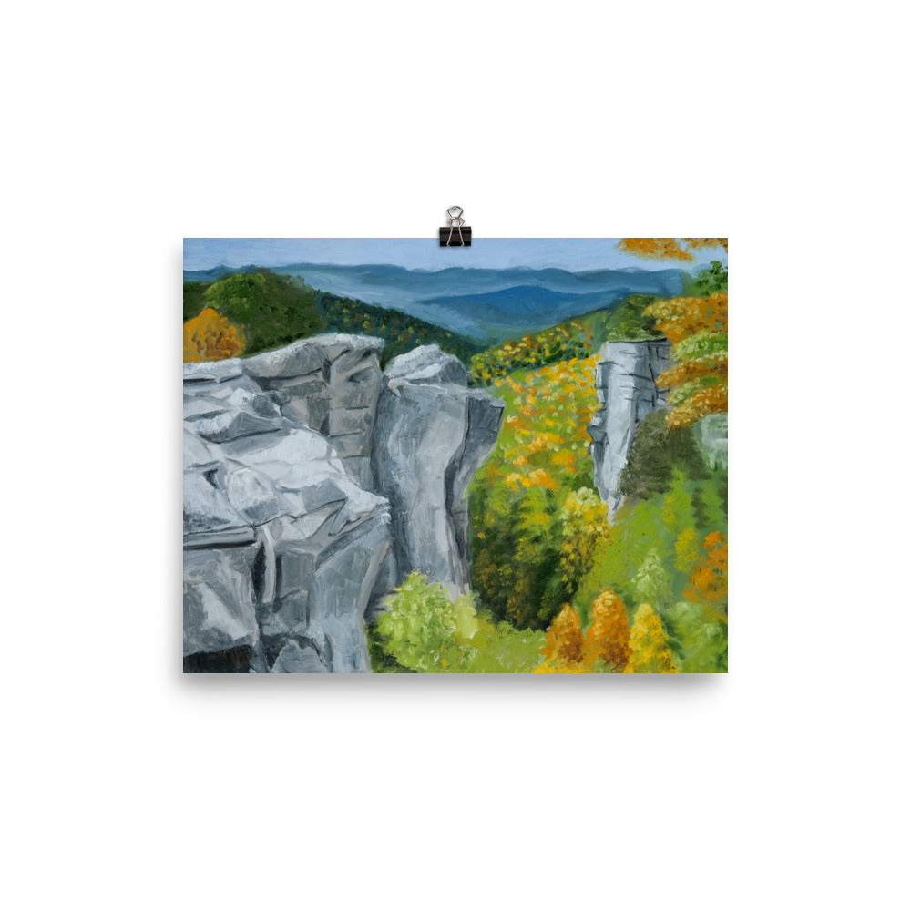 Landscape 43