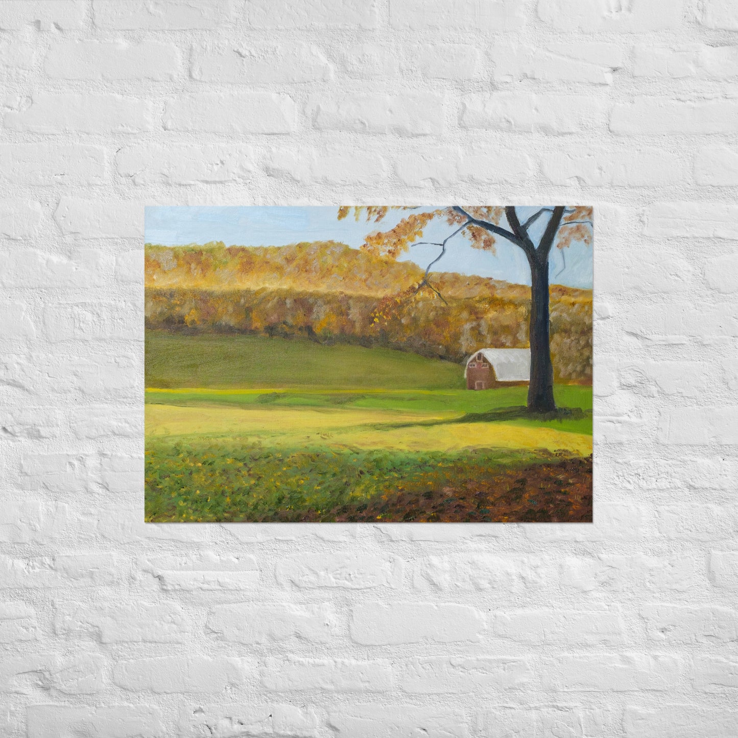 Field and barn