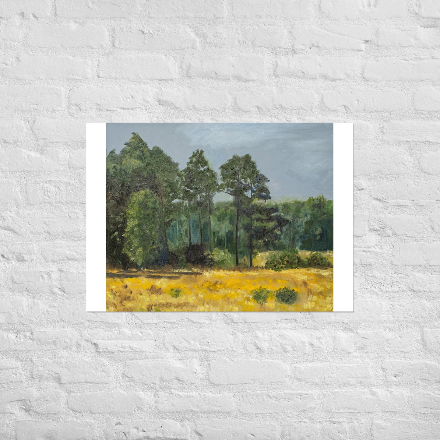Trees in middleground