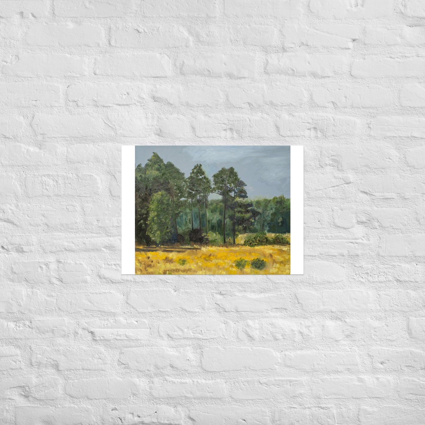 Trees in middleground